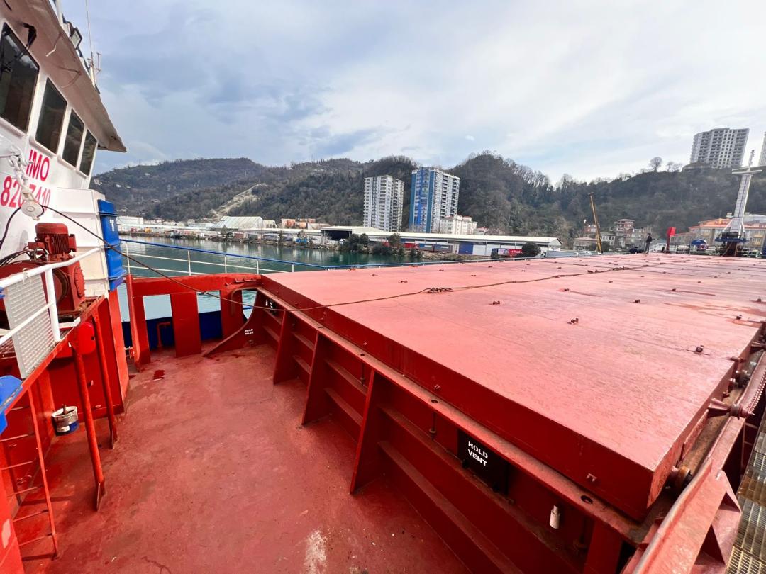 Seaworthiness and Cargo Worthiness Survey
